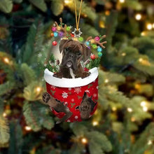 Laden Sie das Bild in den Galerie-Viewer, Niedliche Weihnachtssocken-Hundeverzierung
