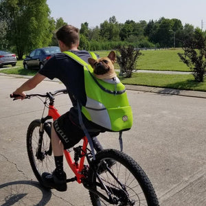 Rucksack für Hunde / Katzen