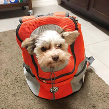 Laden Sie das Bild in den Galerie-Viewer, Rucksack für Hunde / Katzen
