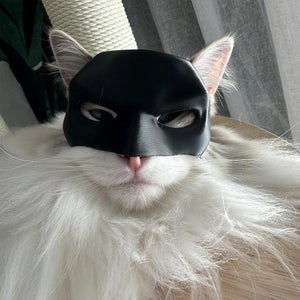 Fledermaus-Katzen-Avenger-Maske