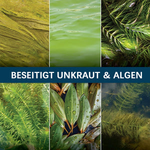 💯👍Ungiftiges Algizid Für Aquarien