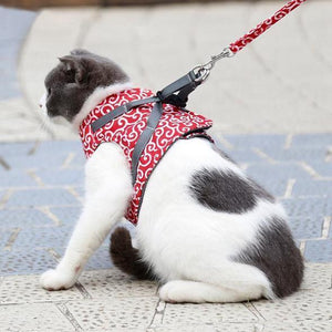 Geschirr und Leine der Katzenweste zum Gehen im Freien