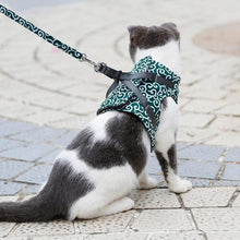 Laden Sie das Bild in den Galerie-Viewer, Geschirr und Leine der Katzenweste zum Gehen im Freien
