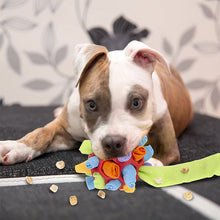 Laden Sie das Bild in den Galerie-Viewer, Kauspielzeug für Hunde
