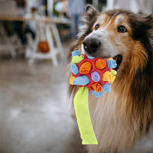 Laden Sie das Bild in den Galerie-Viewer, Kauspielzeug für Hunde
