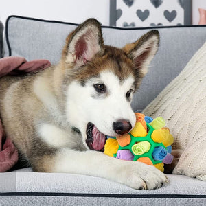 Kauspielzeug für Hunde