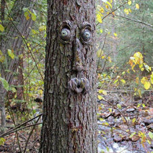 Laden Sie das Bild in den Galerie-Viewer, Baumgesicht Dekoration im Freien
