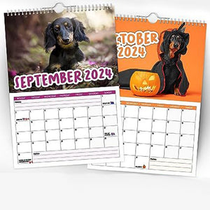 Freche Dachshunde - Wandkalender 2024