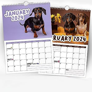 Freche Dachshunde - Wandkalender 2024