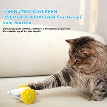 Laden Sie das Bild in den Galerie-Viewer, Automatische Maus für Katze
