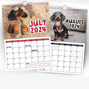 Freche Dachshunde - Wandkalender 2024