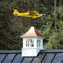 Laden Sie das Bild in den Galerie-Viewer, Flugzeuge-Wetterfahne
