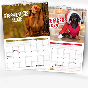 Freche Dachshunde - Wandkalender 2024