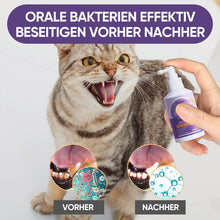 Laden Sie das Bild in den Galerie-Viewer, Zahnreinigungsspray für Hunde und Katzen
