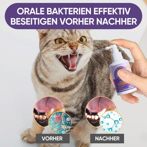 Zahnreinigungsspray für Hunde und Katzen