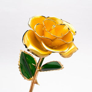 Blüte Ewige 24K Gold Rose