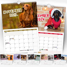 Laden Sie das Bild in den Galerie-Viewer, Freche Dachshunde - Wandkalender 2024
